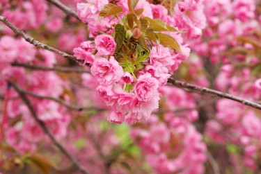 绍兴越城区2线下个人借款平台一站式服务，轻松解决资金难题