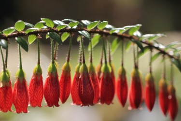 绍兴越城区2零用贷短借：轻松解决临时资金需求