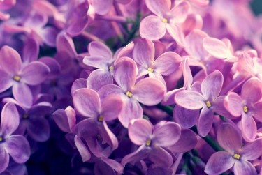 绍兴越城区2企业急用钱贷款攻略：快速融资解燃眉之急